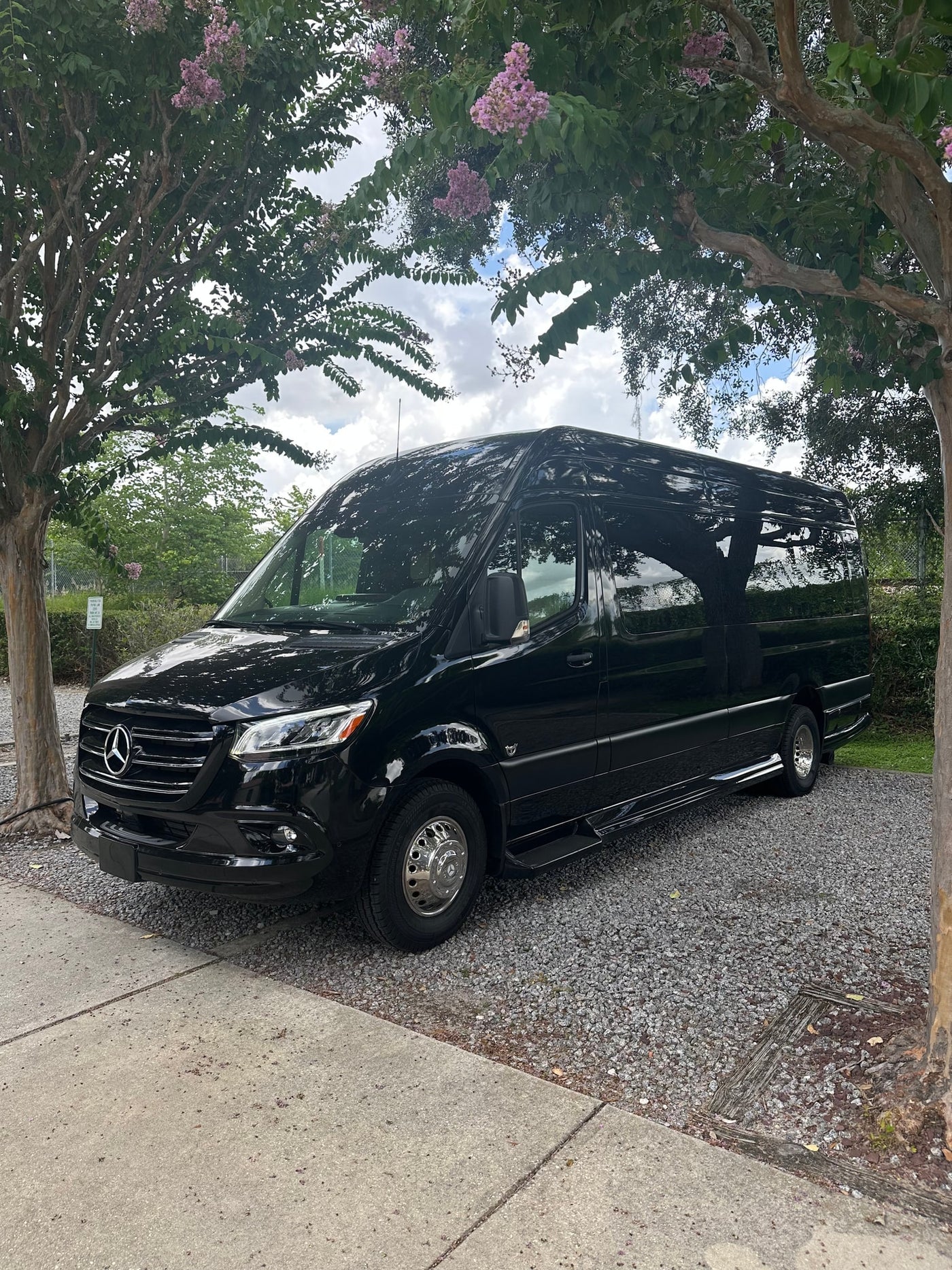 dark Mercedes-Benz Sprinter van — photo 2