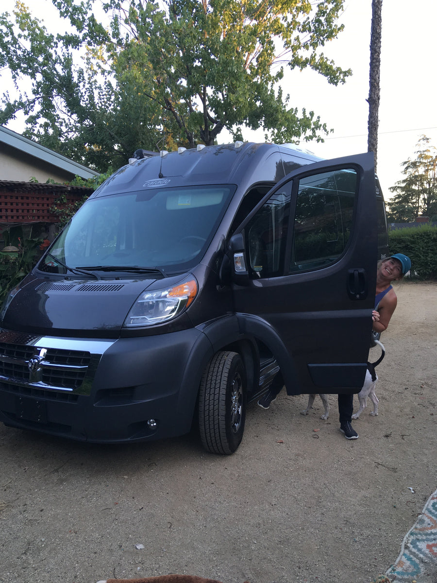 Smiling person and dog peeking from an open side door of a dark grey RV rental, parked on a dirt lot.