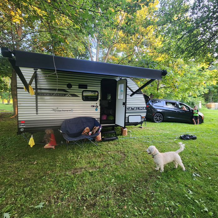 Relaxing RV rental scene: a camper, minivan, family, and dog on green grass under shade trees.