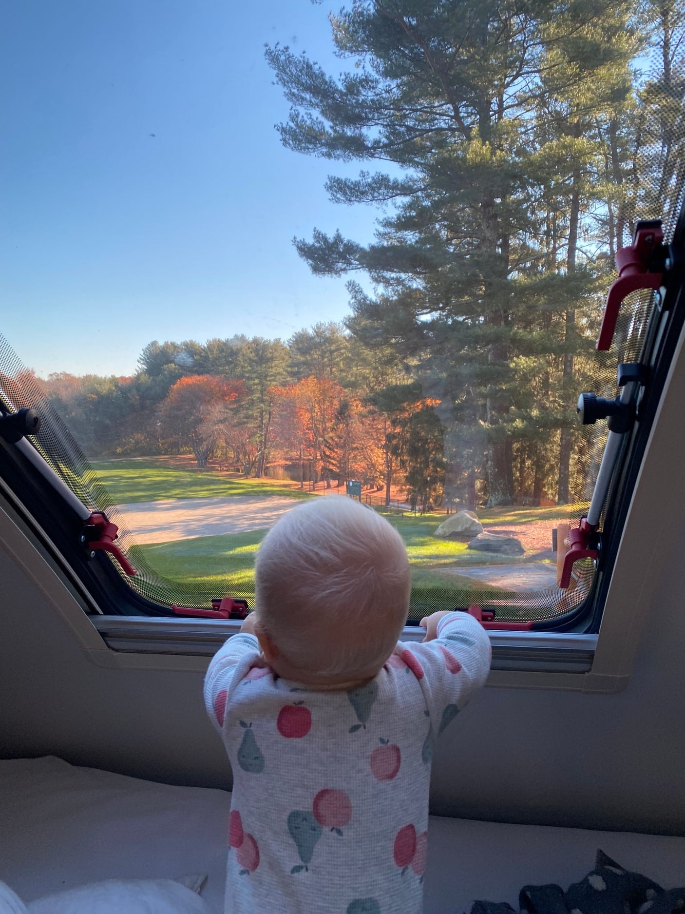 Adorable baby in a fruit-patterned pajama, looking out an RV rental window at vibrant fall trees & a sunny campsite.