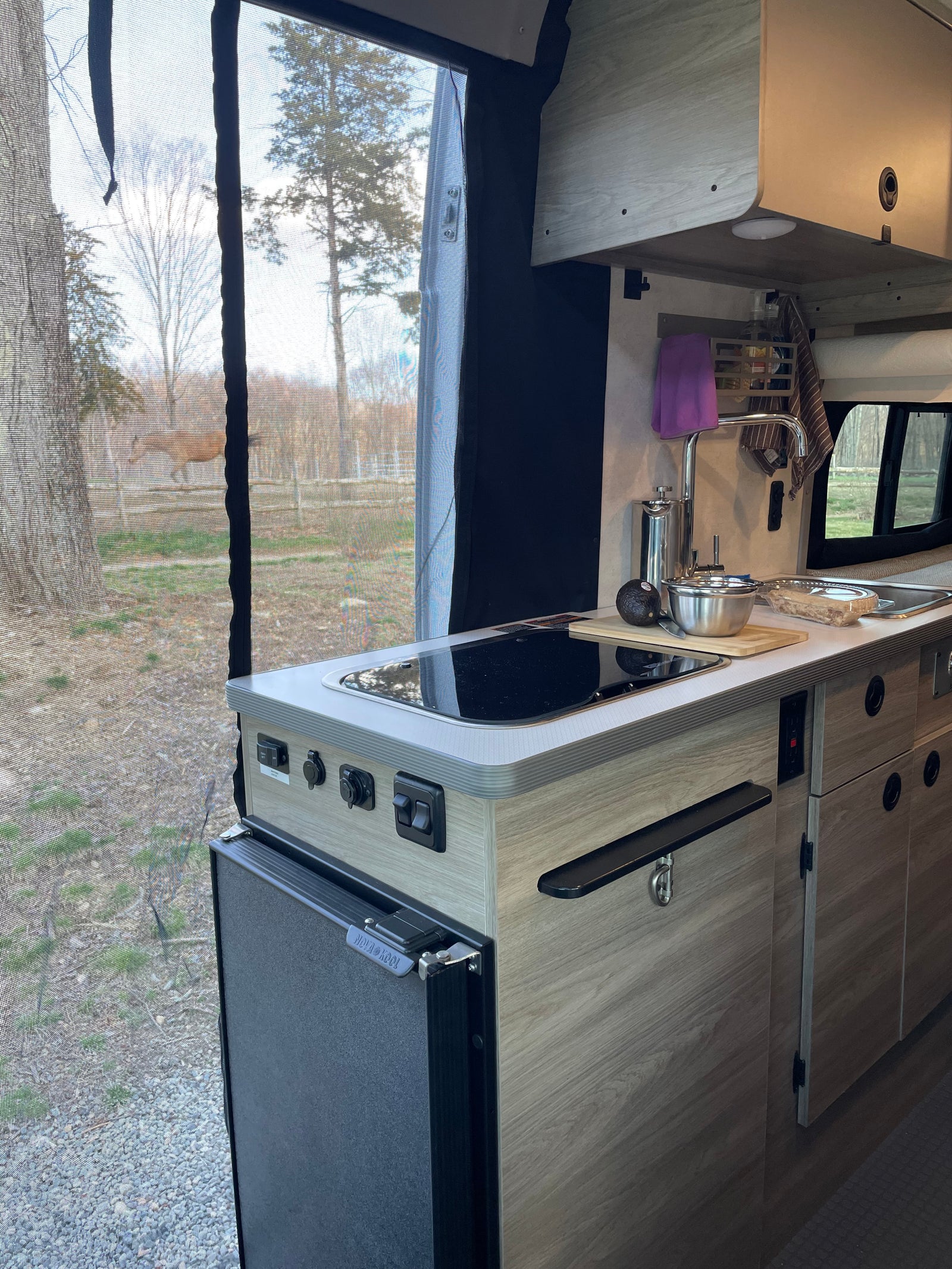 Experience an RV rental: a compact kitchen area with sink, stove, and fridge, plus a serene view of nature including a distant horse.
