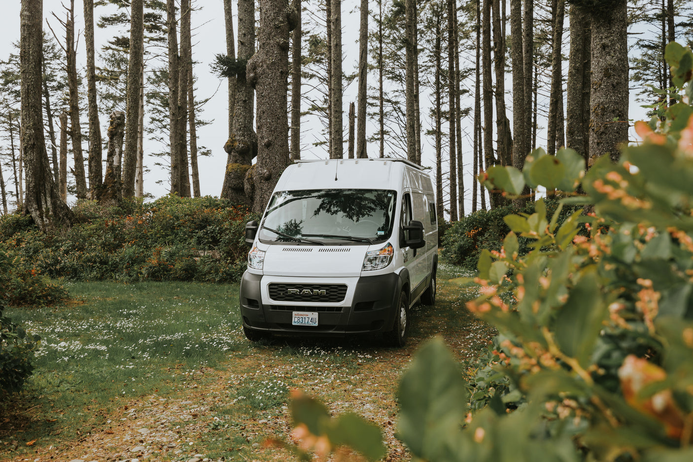 White Ram camper van, an RV rental, parked on a forest path with tall, dense trees.