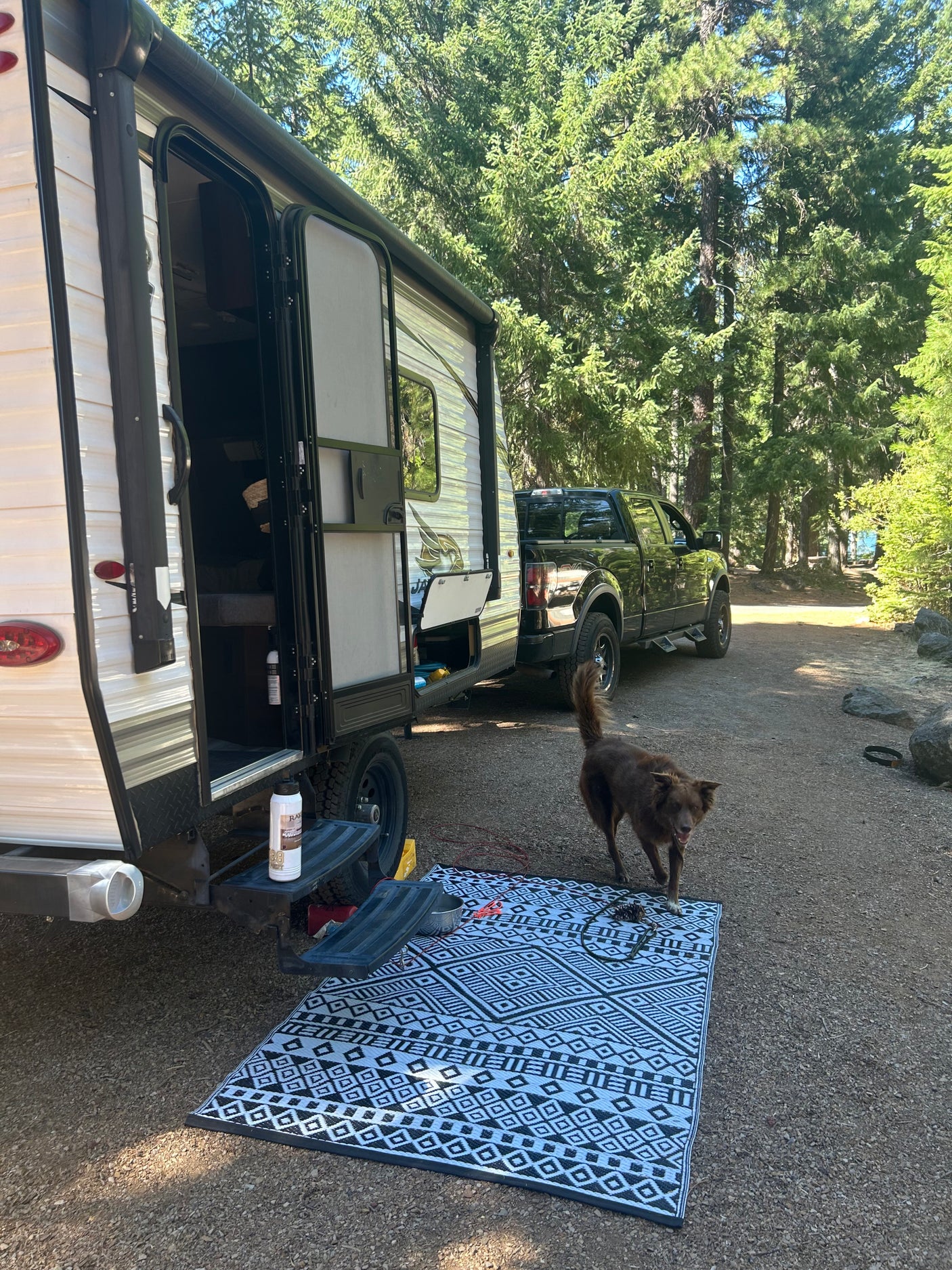 RV rental: A travel trailer, truck, and brown dog on a patterned mat at a pine-filled campsite, ready for adventure and the outdoors.
