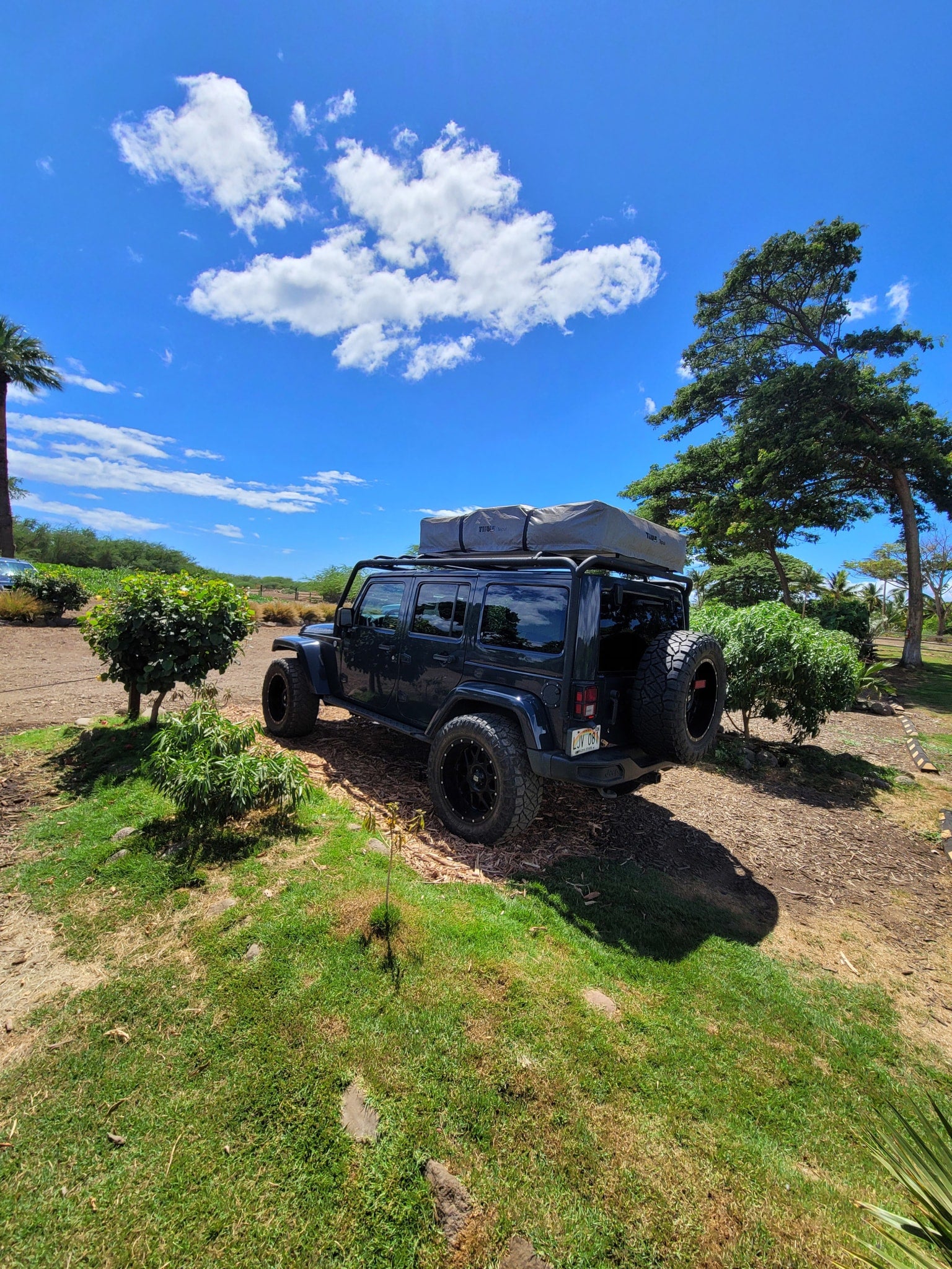 This Jeep rv rental, equipped with a Thule Tepui rooftop tent, awaits your next outdoor adventure under a blue sky.