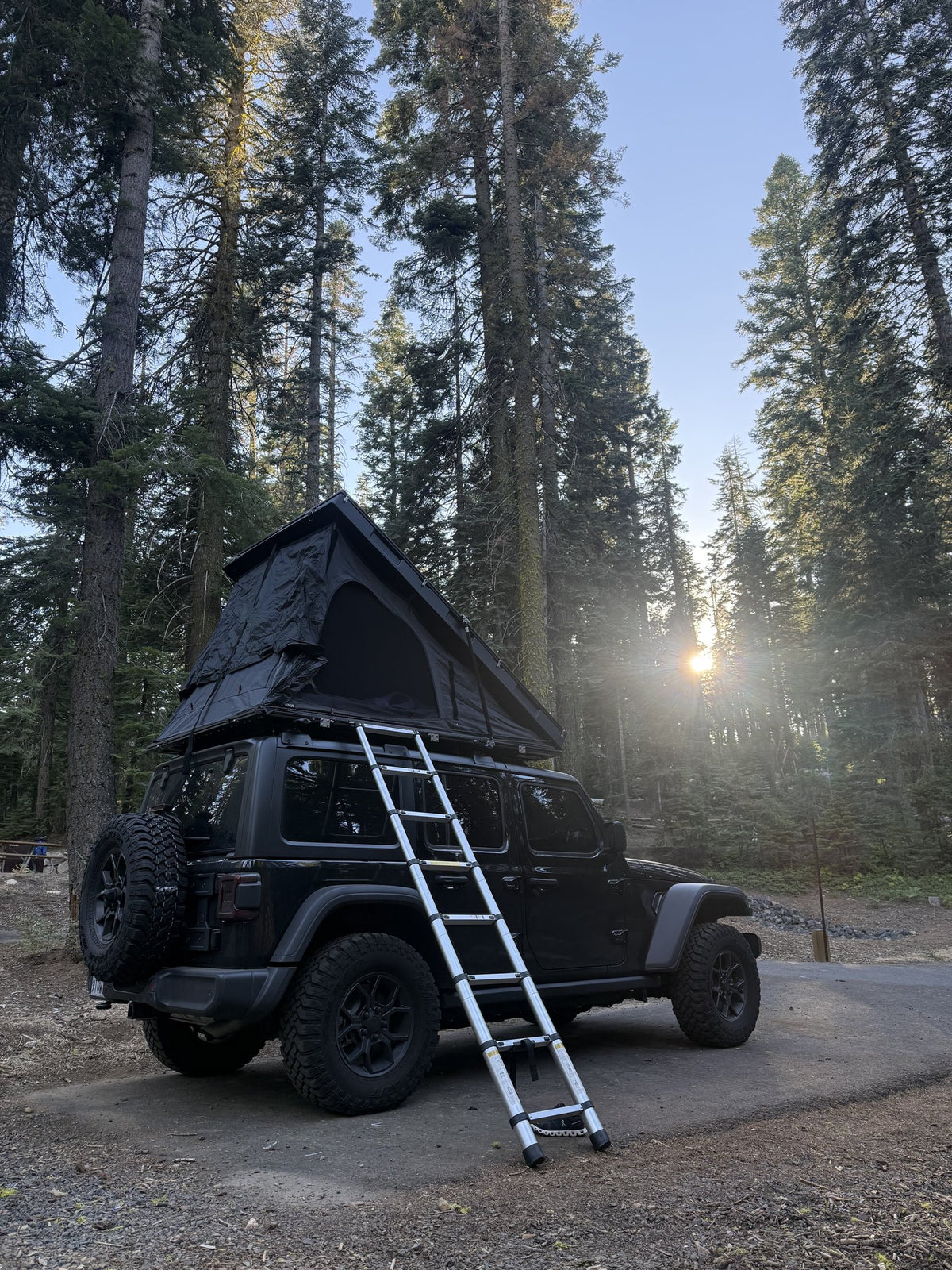 The tent set up at golden hour on a forest pullout, canopy and door panel extended out over the Jeep with sun flaring through the pines behind it — photo 4