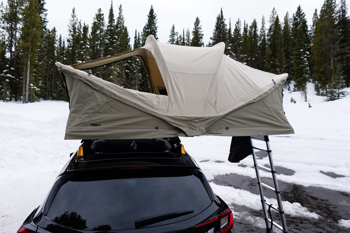 Winter car camping: Thule rooftop tent on a black car in snow, a cozy RV rental alternative surrounded by pine trees.