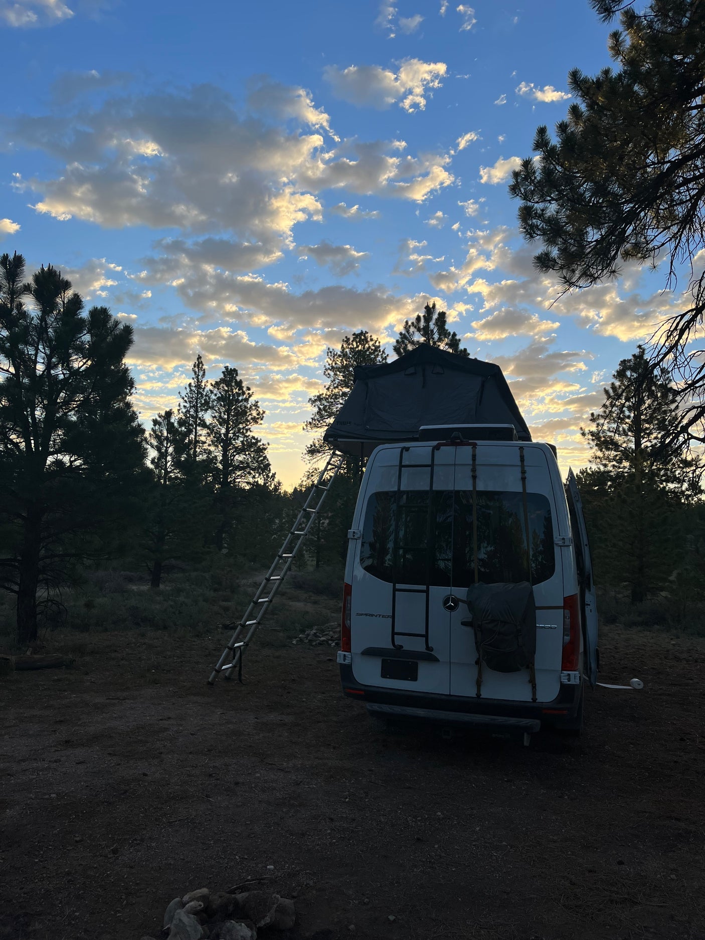 RV rental van with rooftop tent, set up for camping in a pine forest, illuminated by a stunning sunrise sky.