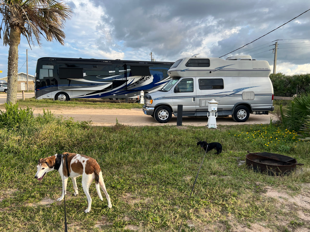 Dogs on leash at a campground with a large black RV & a silver Airstream 190 camper van, ideal for your next rv rental trip. — photo 10