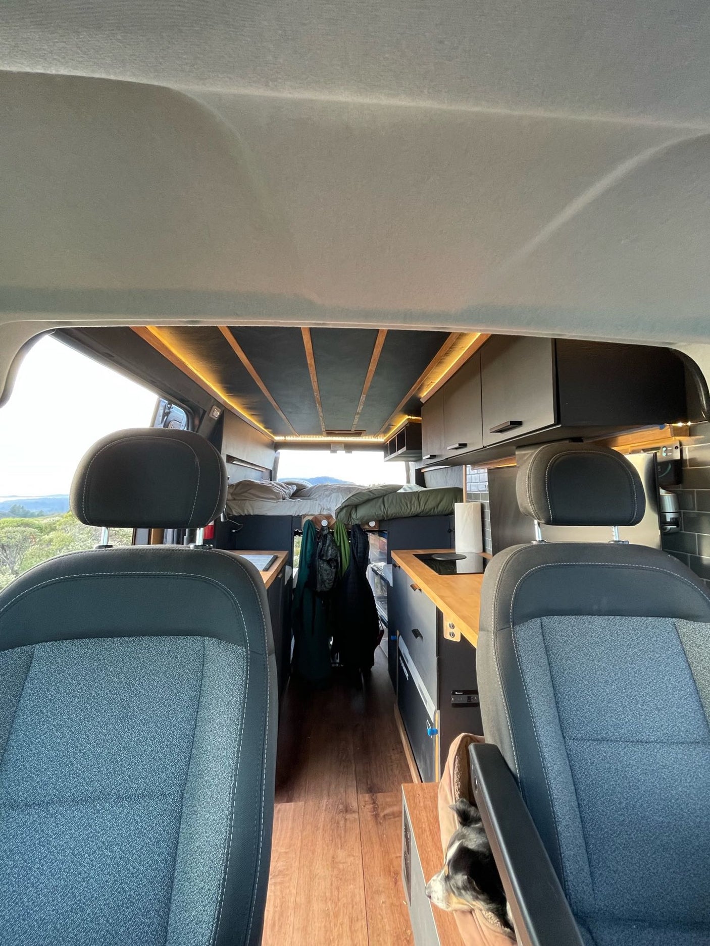 View from the front seats of a custom RV rental, showcasing its modern kitchen, bed, and a pet.