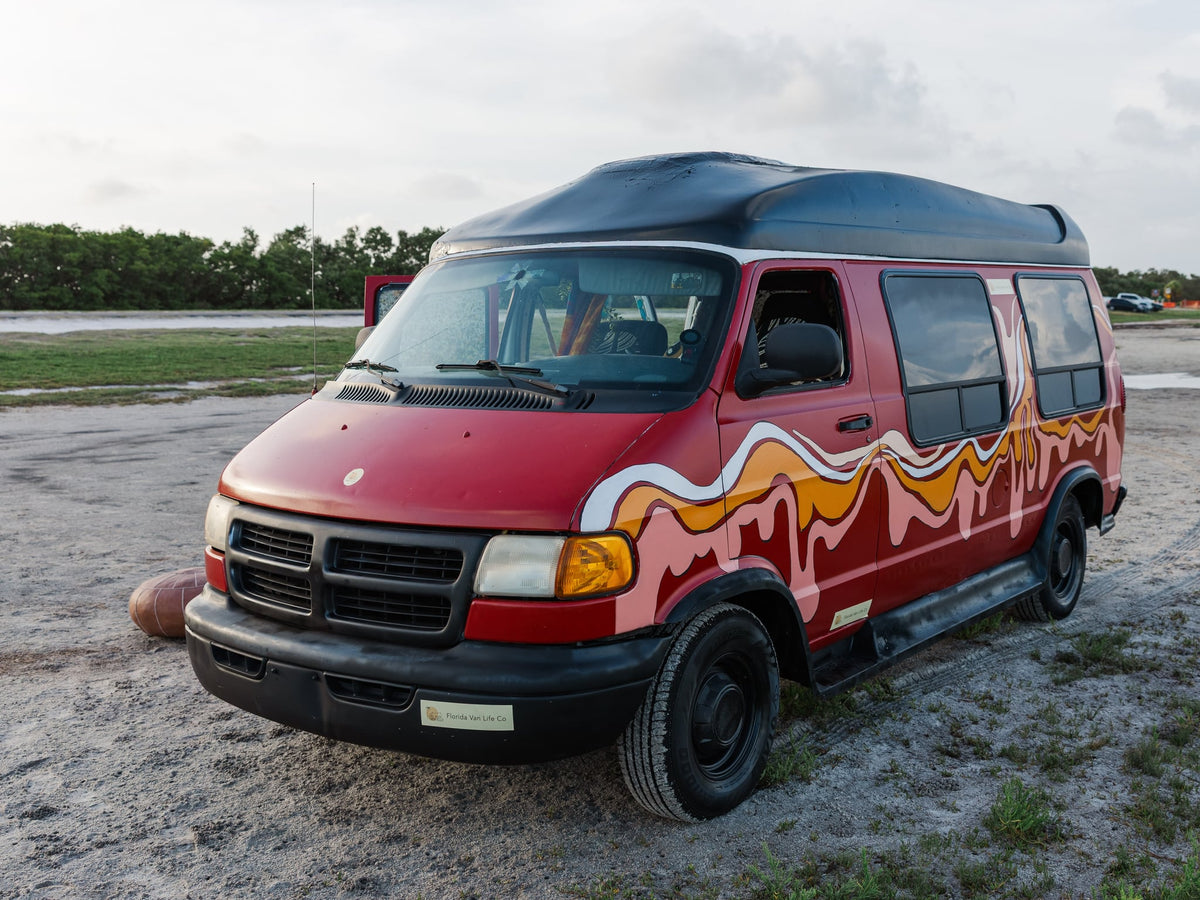 and a 'Hippies Use Side Door' sign.|Bohemian RV rental: The rear of a decorated camper van with open doors displaying its cozy interior and Florida vibe.|Happy friends enjoy a vibrant RV rental: people on the roof — photo 6