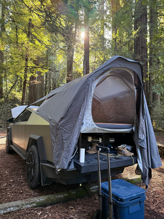 Cybertruck with bed tent in a sun-dappled redwood forest, ideal for unique outdoor camping, like an **RV rental** experience.
