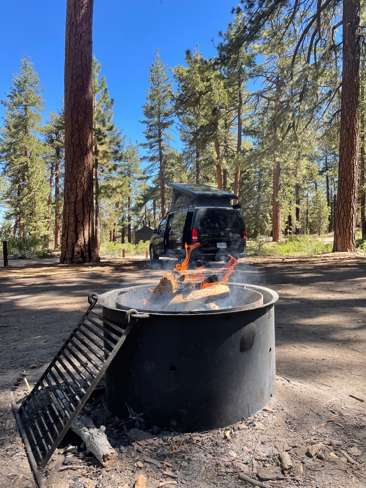 Campfire burns bright in a serene forest campground, with a black Mercedes RV rental van parked under clear blue skies.