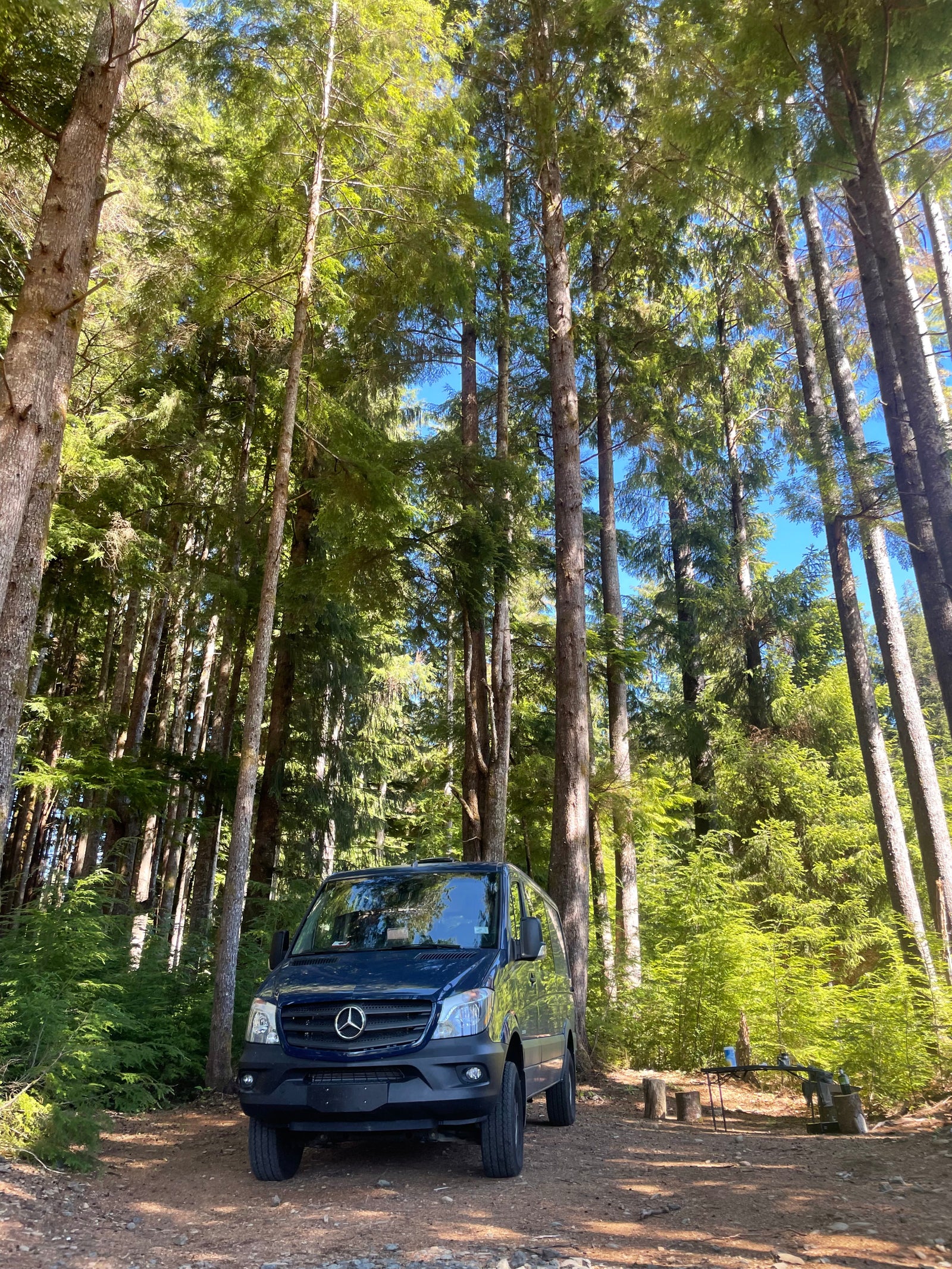 A dark blue Sprinter camper van (RV rental) parked in a sunny forest campsite.