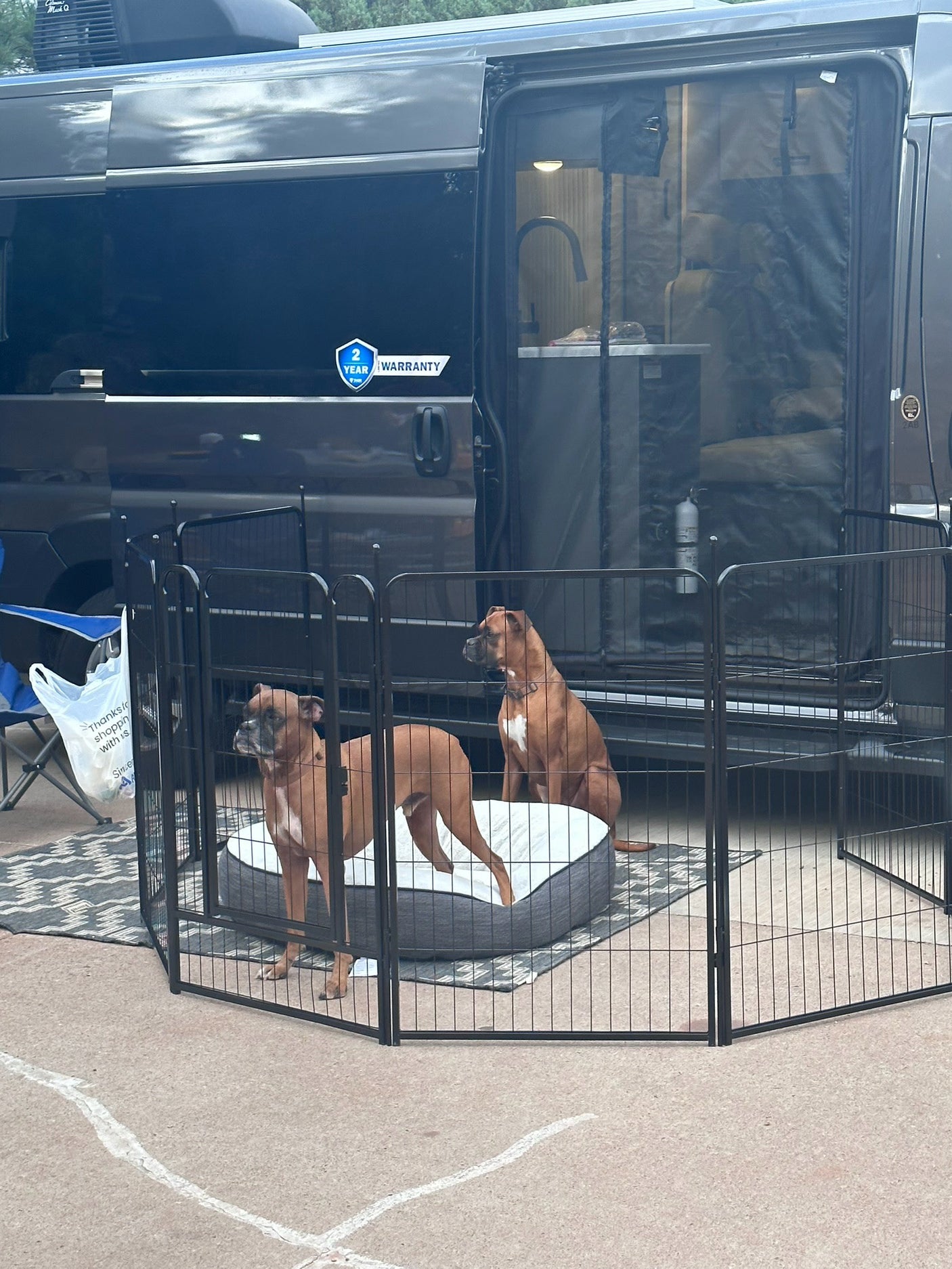 Two Boxer dogs in an outdoor playpen next to a grey rv rental, with its open side door revealing the interior.