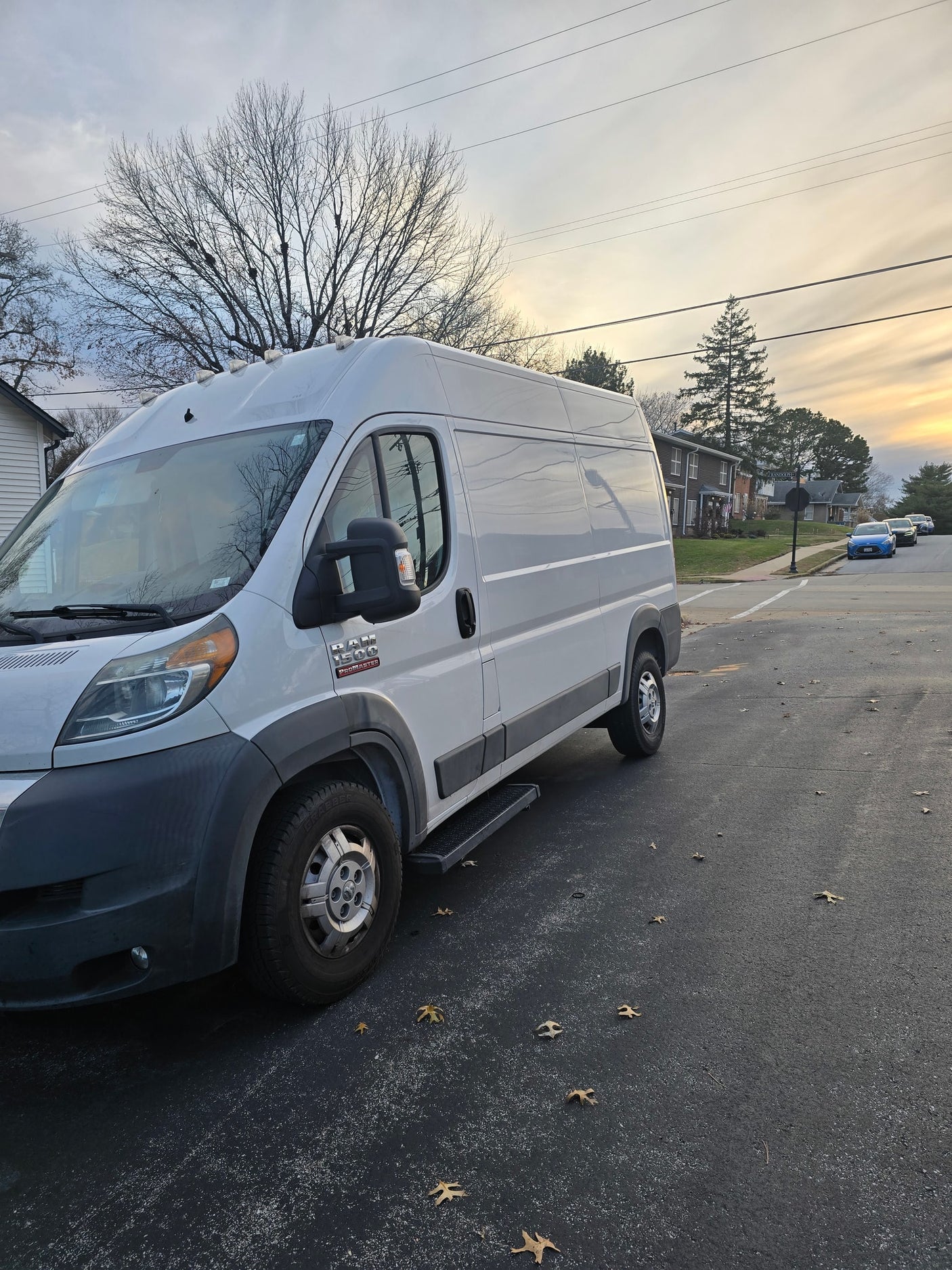 White Ram ProMaster van