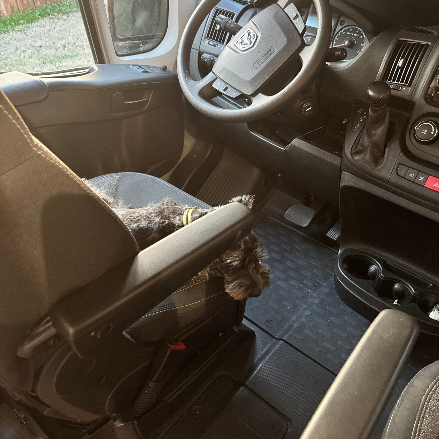 Small dog rests on the armrest of a Ram ProMaster RV rental. Interior shows dashboard, steering wheel and controls.
