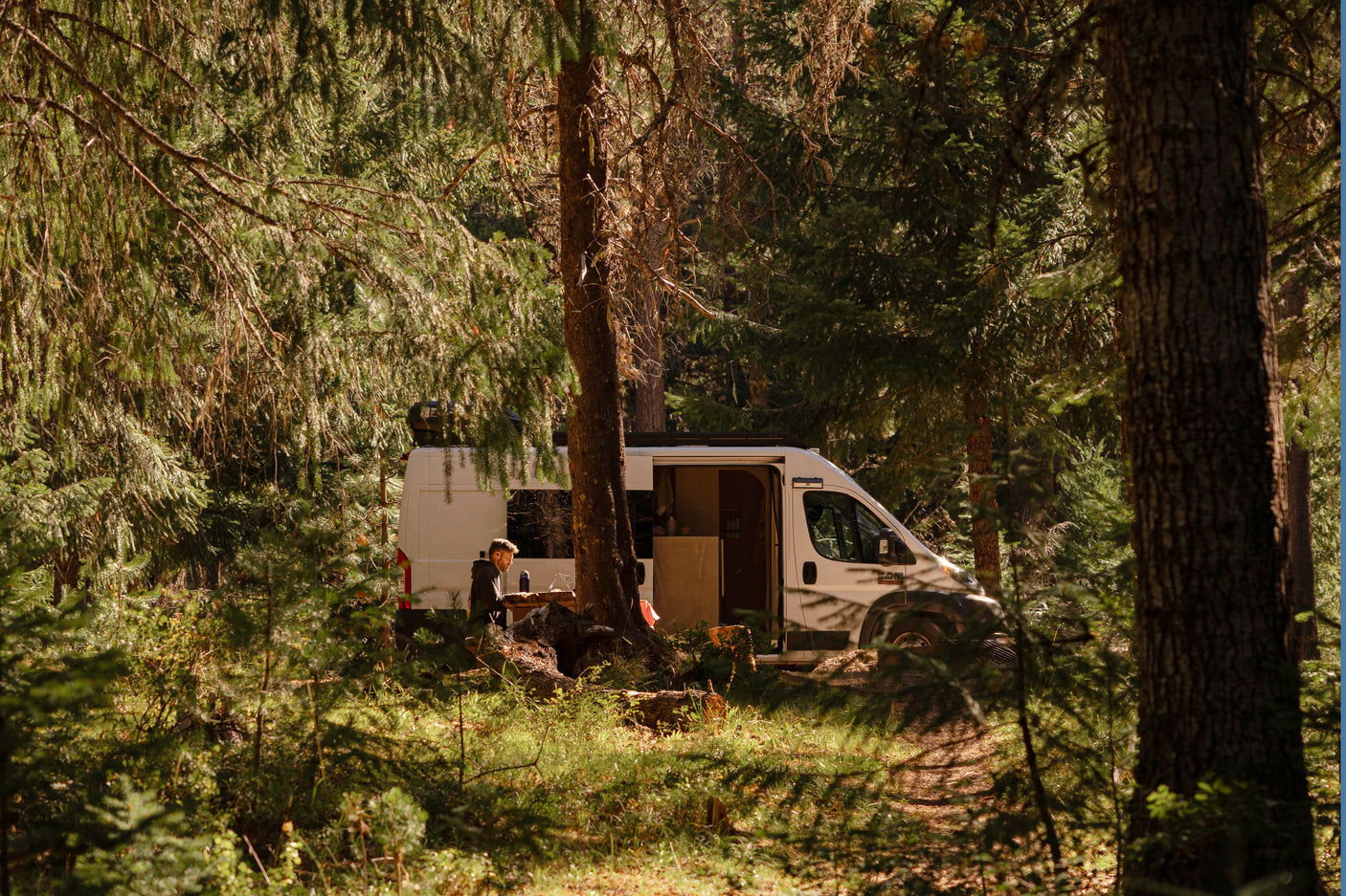RV rental: A man works on his laptop by a white camper van, parked amidst tall pines in a serene forest.