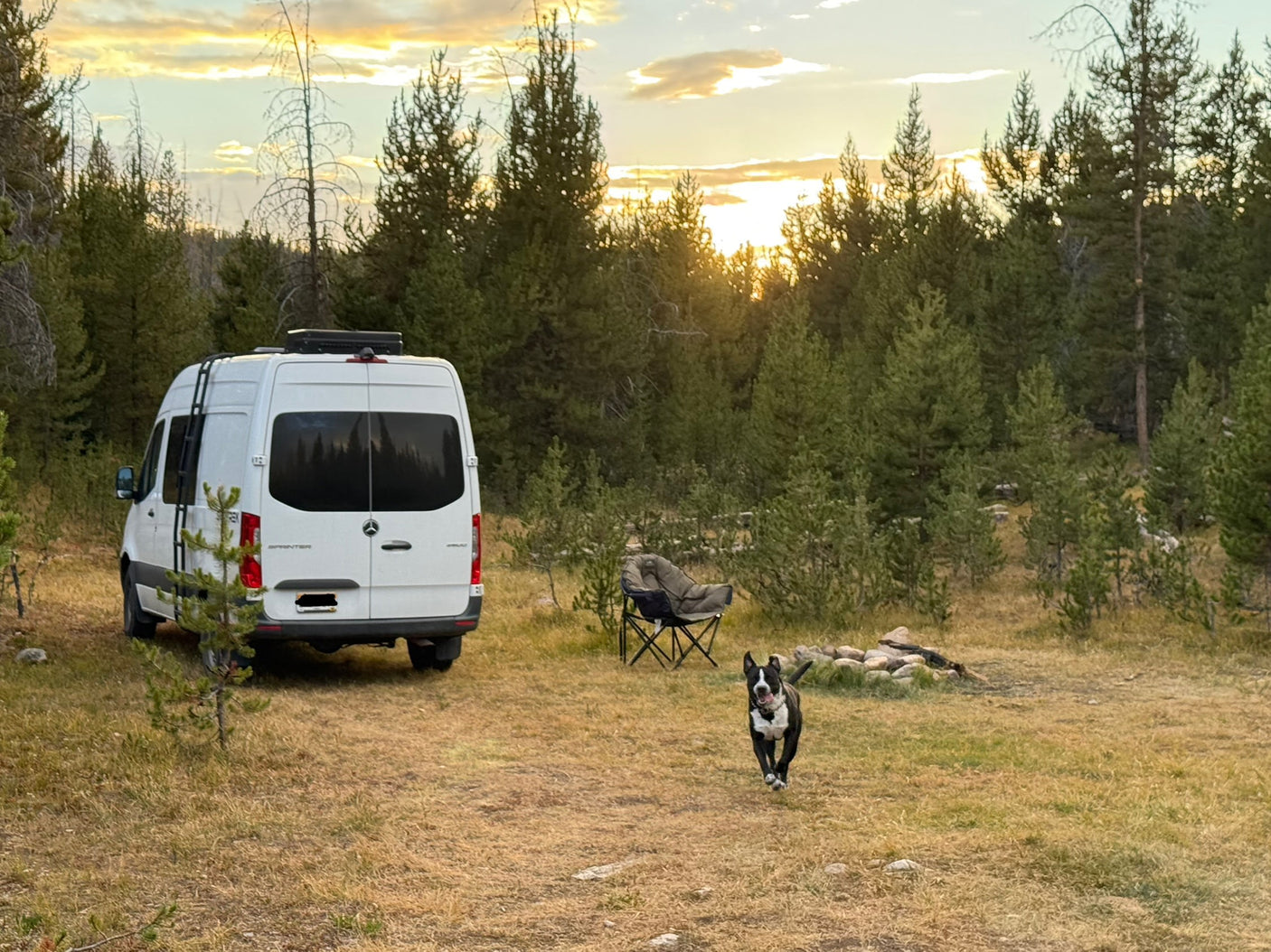 RV rental van, a happy dog running in a forest campsite with a chair & fire pit at sunset.