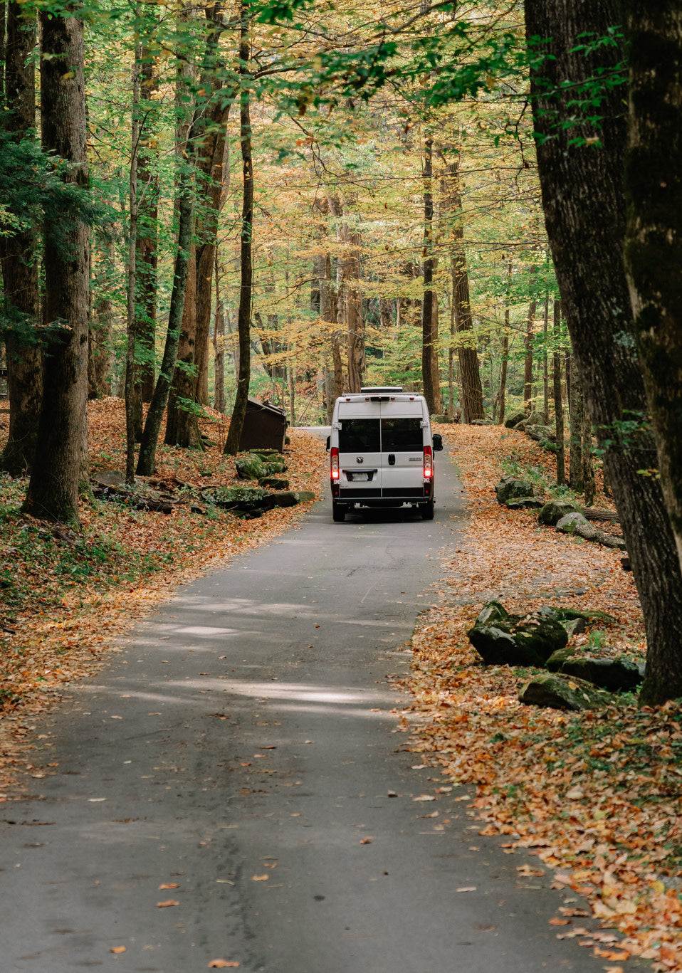 White RV rental drives on a leaf-covered road through a vibrant autumn forest, perfect for a fall adventure.