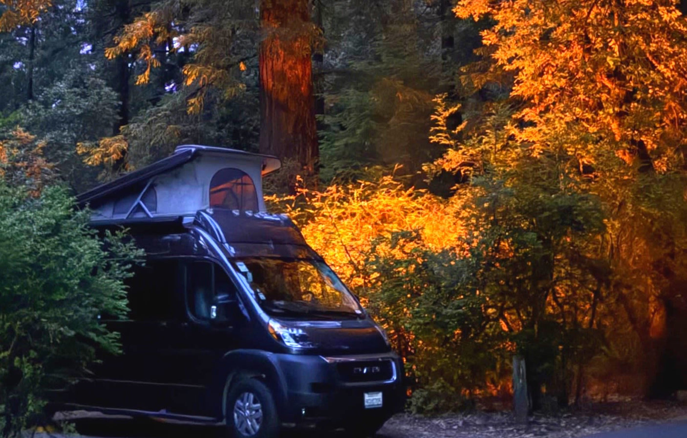 A black pop-top RV rental is parked in a forest, its surroundings lit by a golden, warm glow.