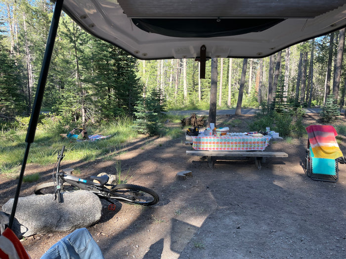 RV rental view: A serene forest campsite with picnic table, bike, and person relaxing on a blanket.