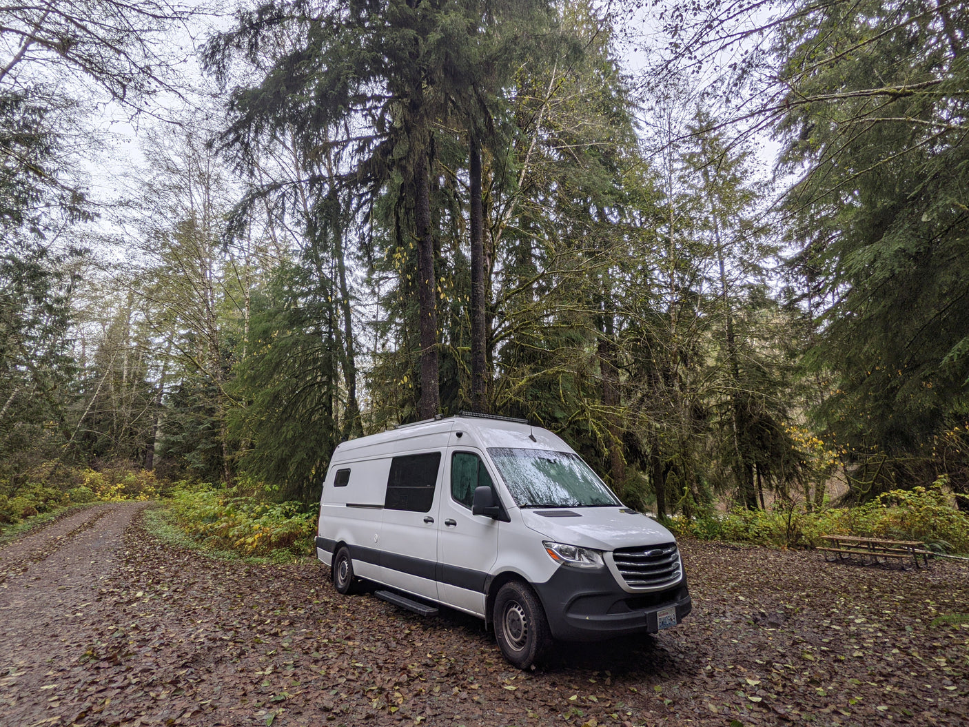 White campervan RV rental parked on a leafy dirt road in a dense, mossy forest with tall trees under a cloudy sky.