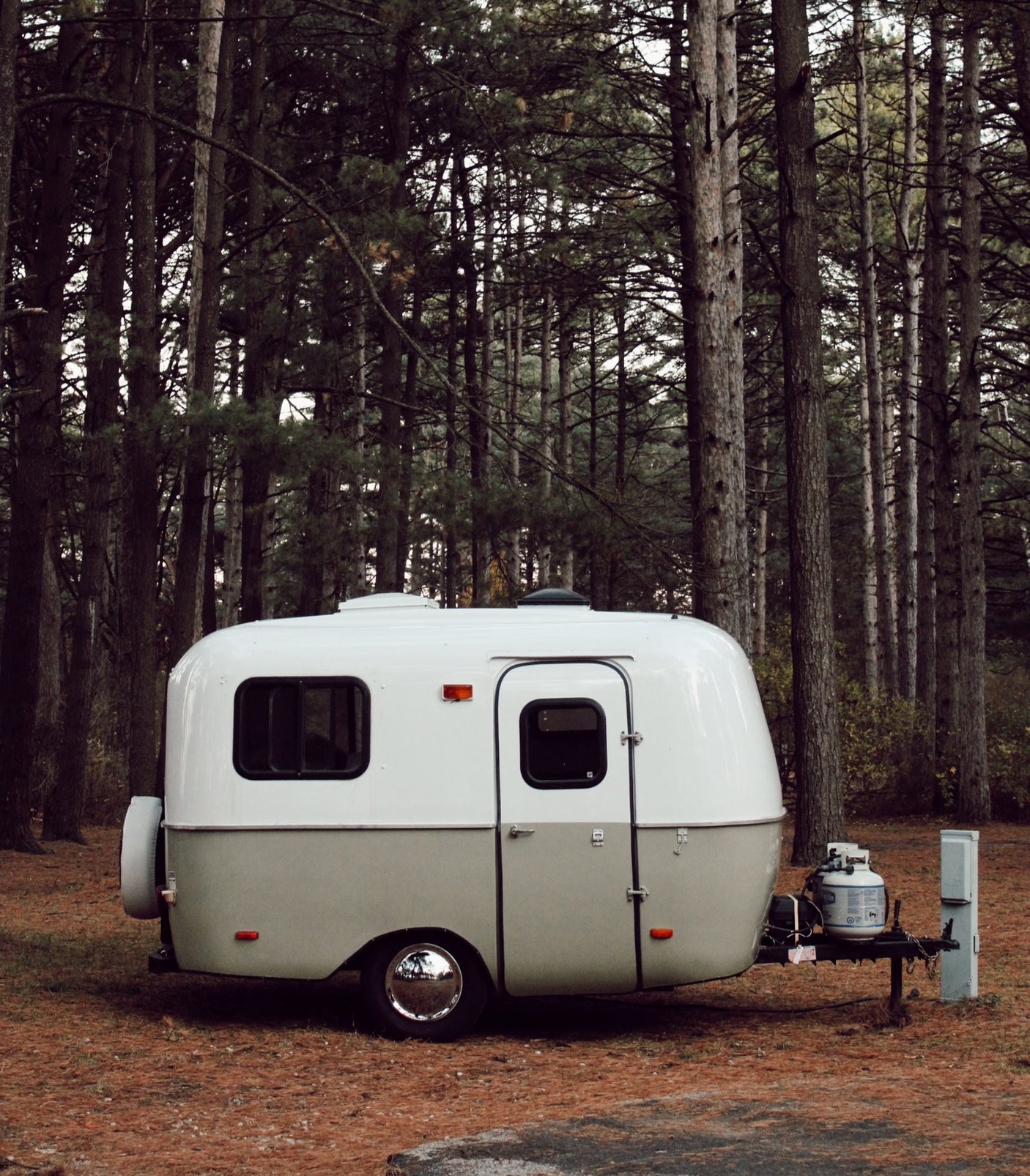 A vintage-style white & grey RV rental camper is nestled in a quiet pine forest campsite. Perfect for nature getaways.
