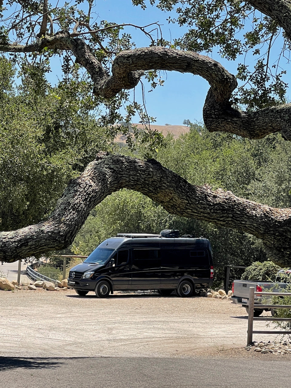 A black Mercedes Sprinter RV rental is parked on a dirt lot, framed by a massive, arching oak tree. Green hills rise in the background.