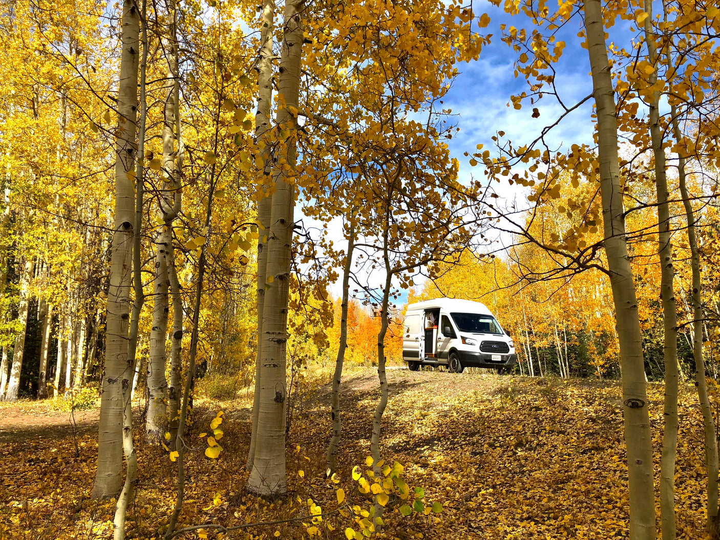 RV rental van parked among beautiful yellow aspen trees, with golden fall leaves scattered across the forest floor under a blue sky.