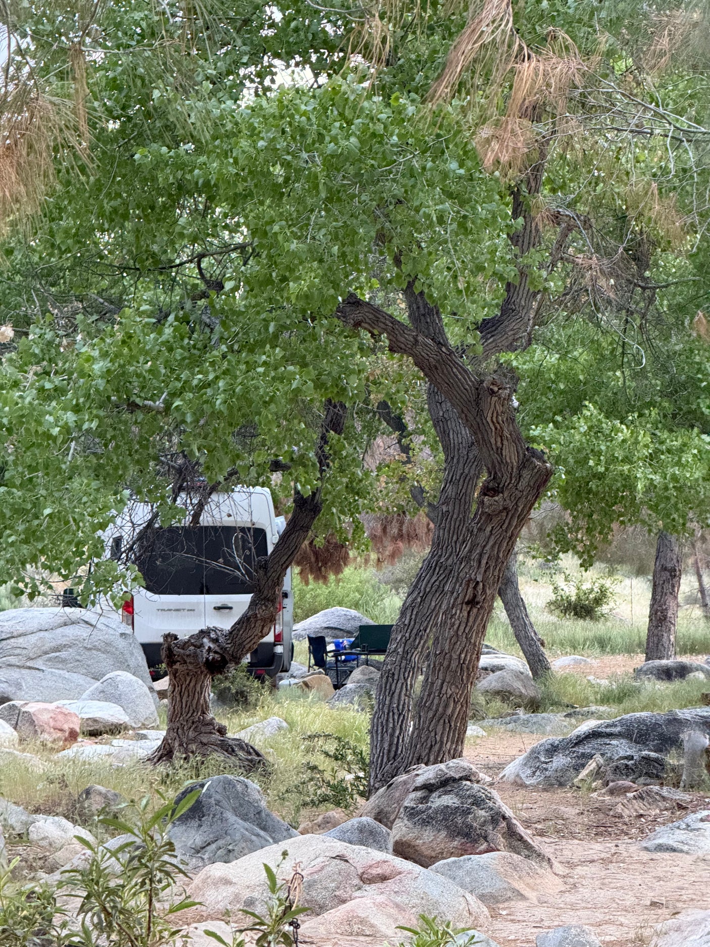 2022 Ford T-250 AWD
