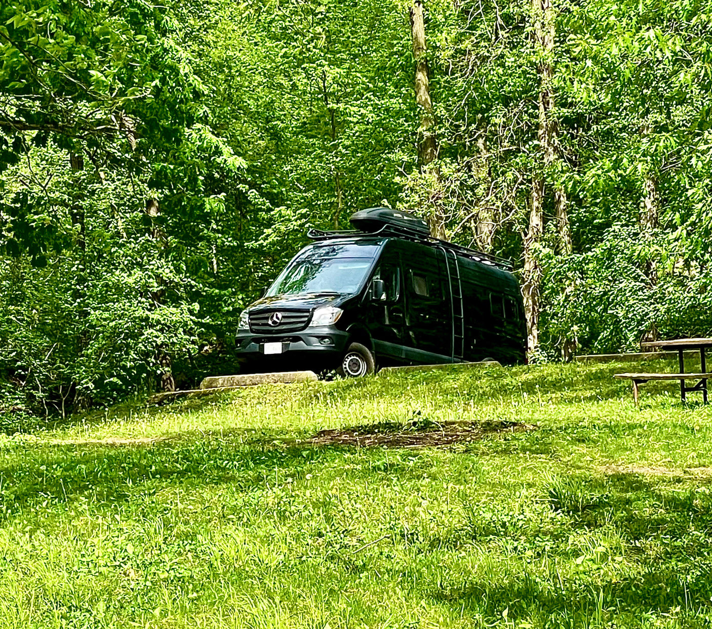 Black Mercedes Sprinter RV rental van at a lush green campsite with a picnic table, surrounded by trees.