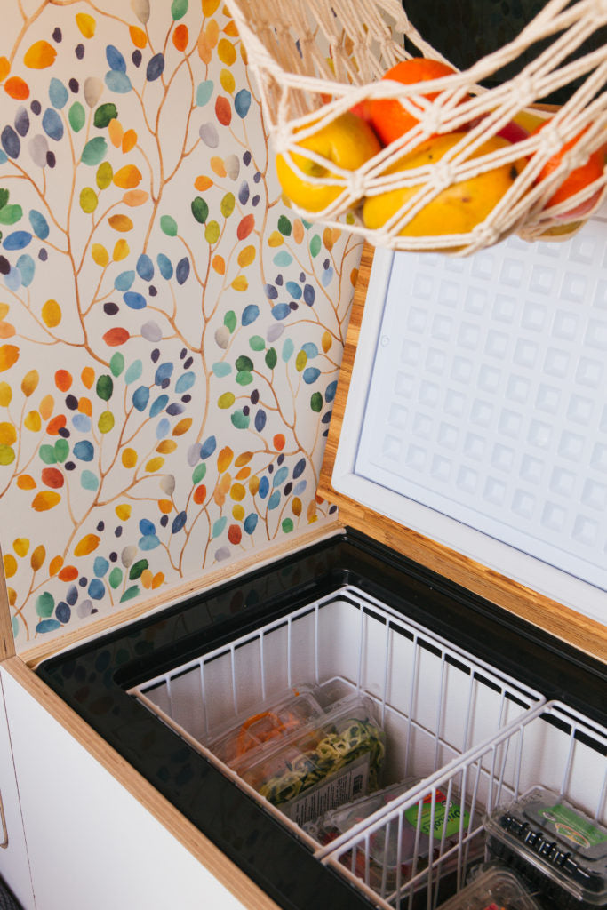 Inside an RV rental: a top-loading fridge with fresh produce, colorful fruit hammock, and nature-inspired wallpaper.