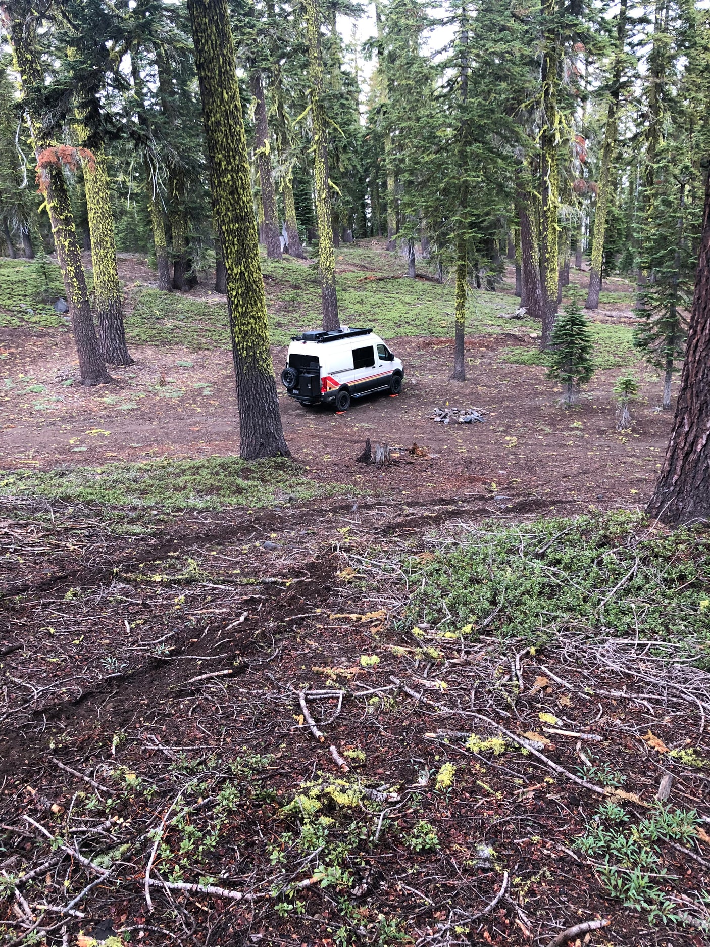 RV rental camper van parked in a mossy forest clearing, ideal for wilderness camping amidst tall trees.
