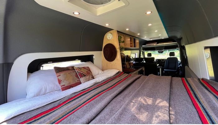 showing a comfy bed at the rear
