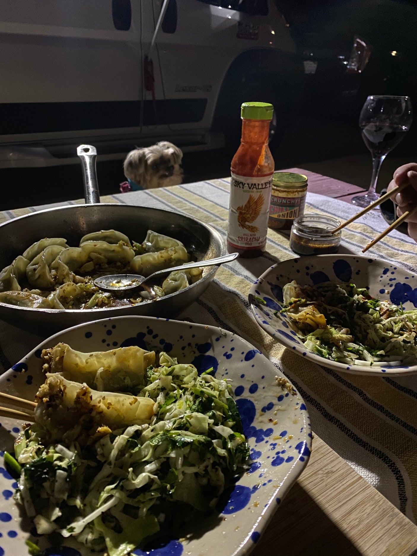 Enjoying a delicious outdoor meal of dumplings and salad next to our RV rental, with our furry friend. Perfect RV camping dinner!