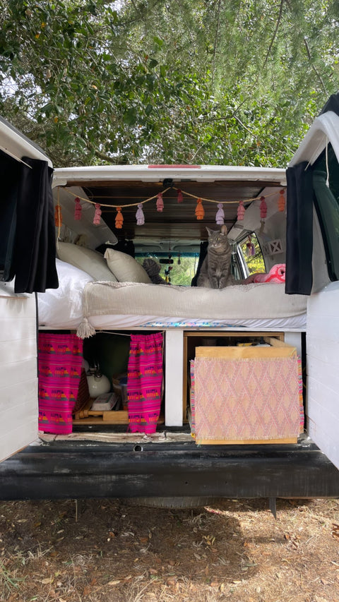 Camper van Ford E 150 overland rental