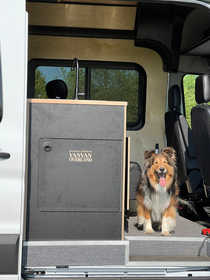 A joyful Sheltie-type dog smiles from a custom rv rental campervan, featuring a modern kitchen and wood paneling.