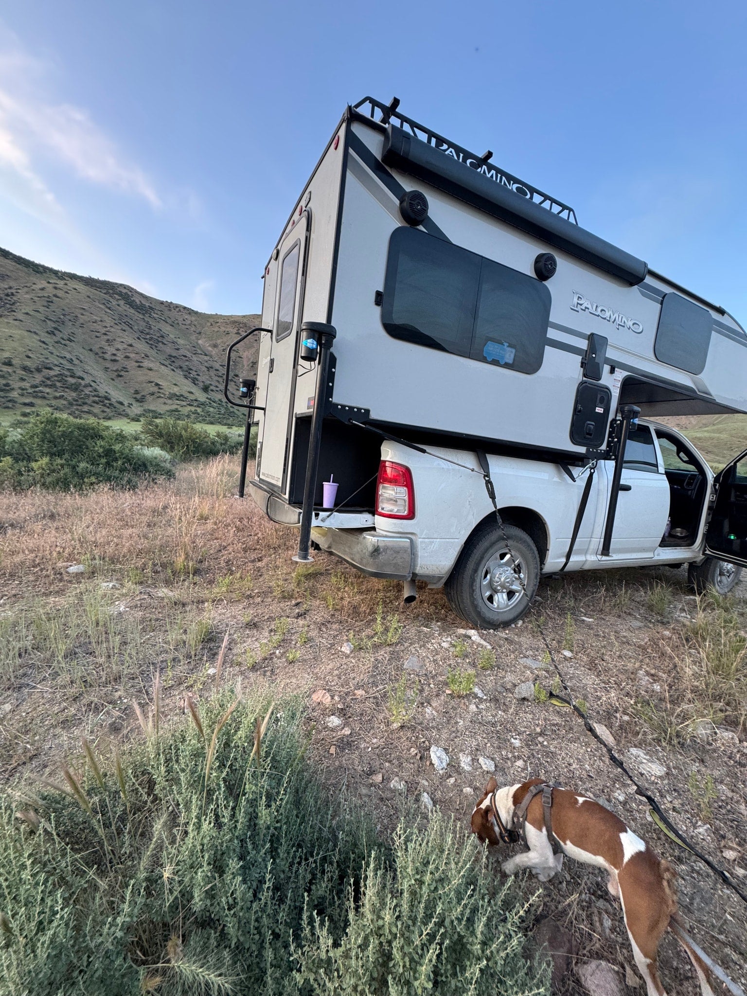 An RV rental, a truck camper on a white pickup, parked in a dry, hilly landscape. A brown and white dog sniffs nearby.