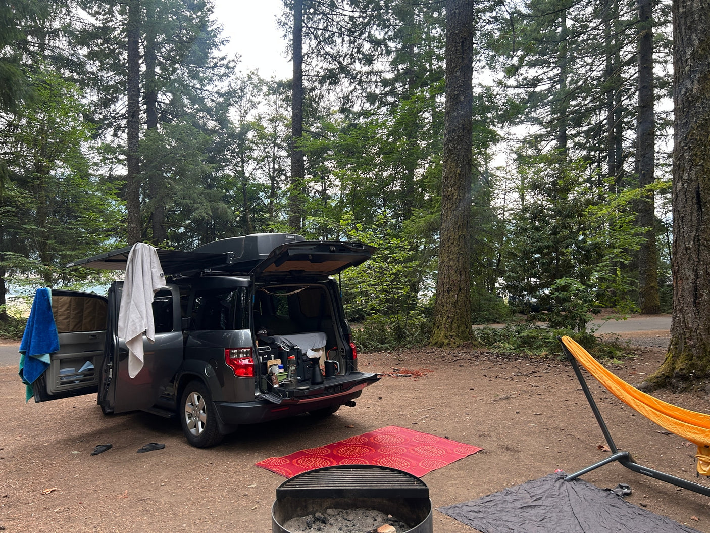 Honda Element set up as a cozy camper, like an RV rental, for a relaxing forest camping trip.