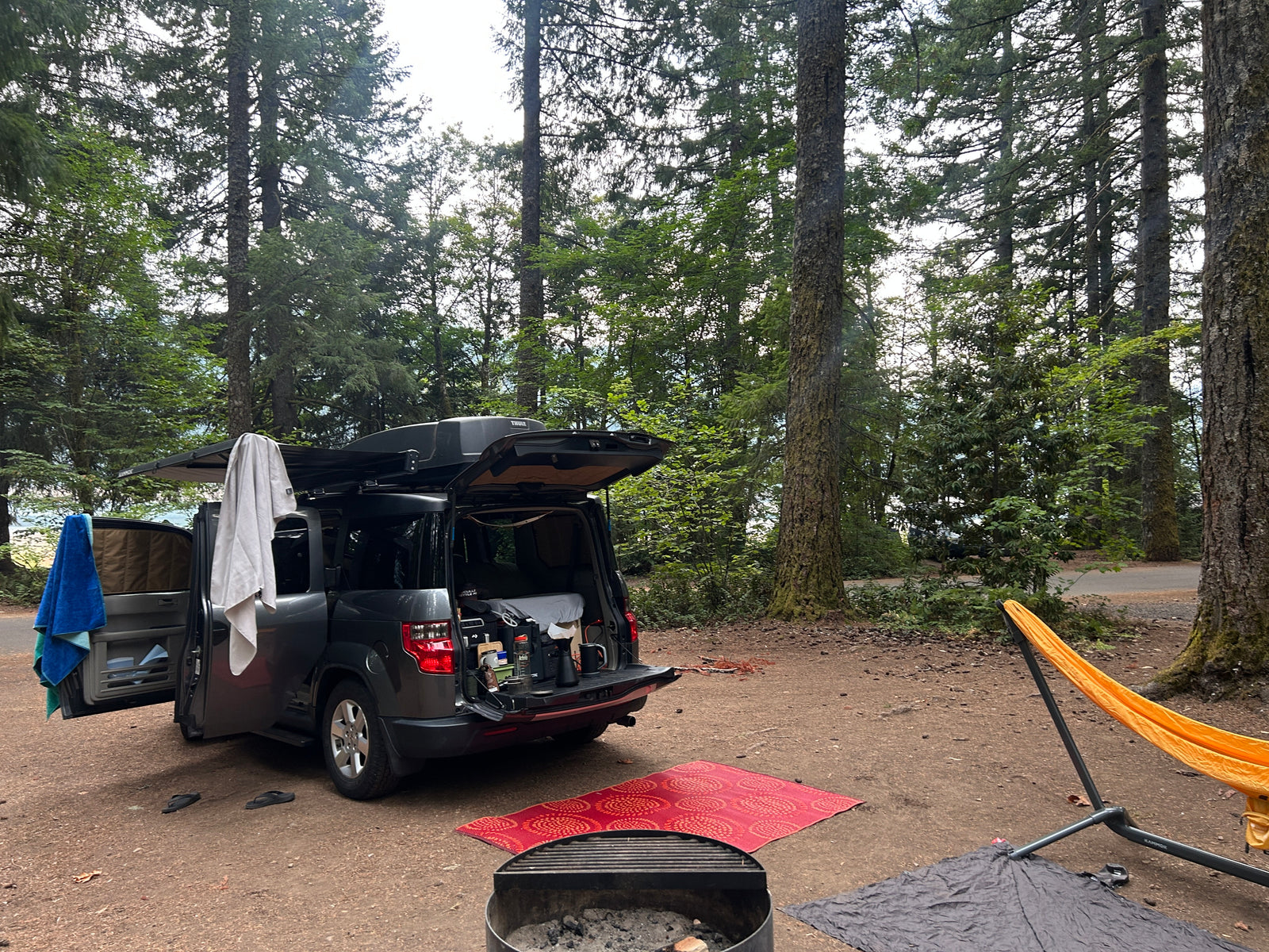 Honda Element set up as a cozy camper, like an RV rental, for a relaxing forest camping trip.