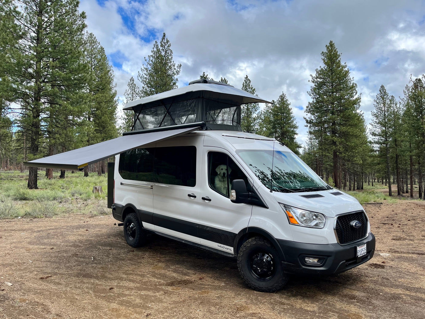 A white ModVans Ford Transit camper van with pop-top & awning in a forest. A dog sits inside. Perfect for an RV rental adventure!