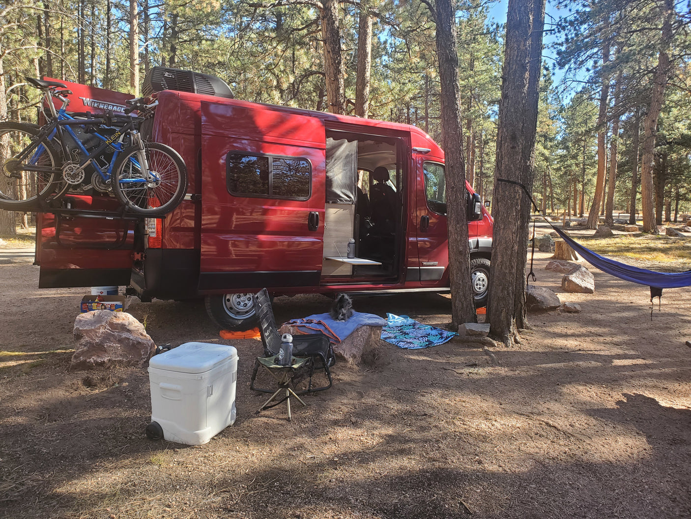 Red RV rental van with bikes parked in a sunlit pine forest campsite. A blue hammock hangs nearby, with a small dog and cooler visible.