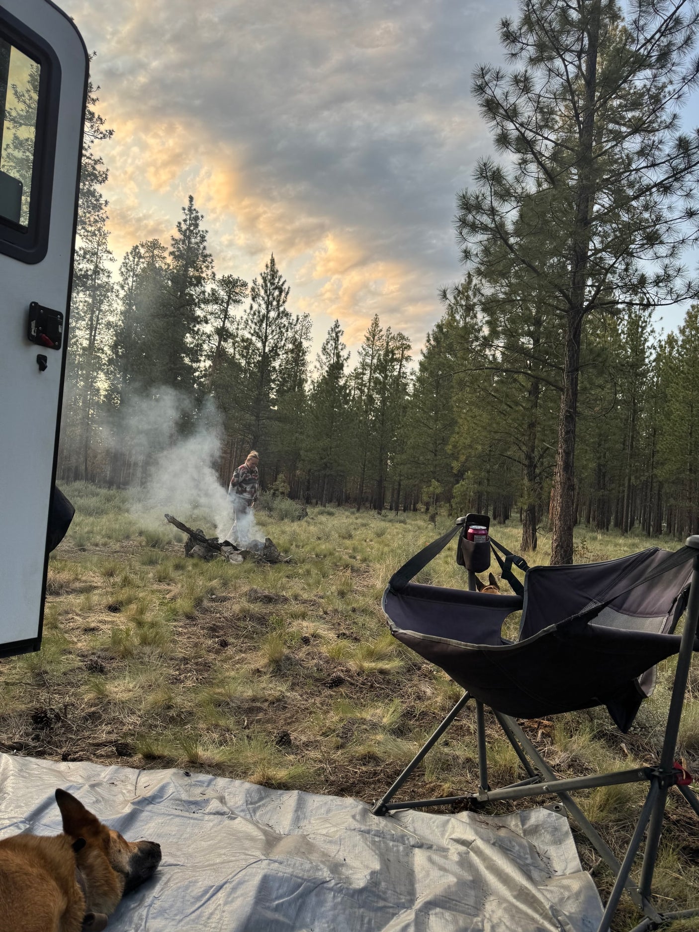 Rustic RV rental campsite: A woman tends a smoky campfire near pine trees, a dog rests on a tarp.