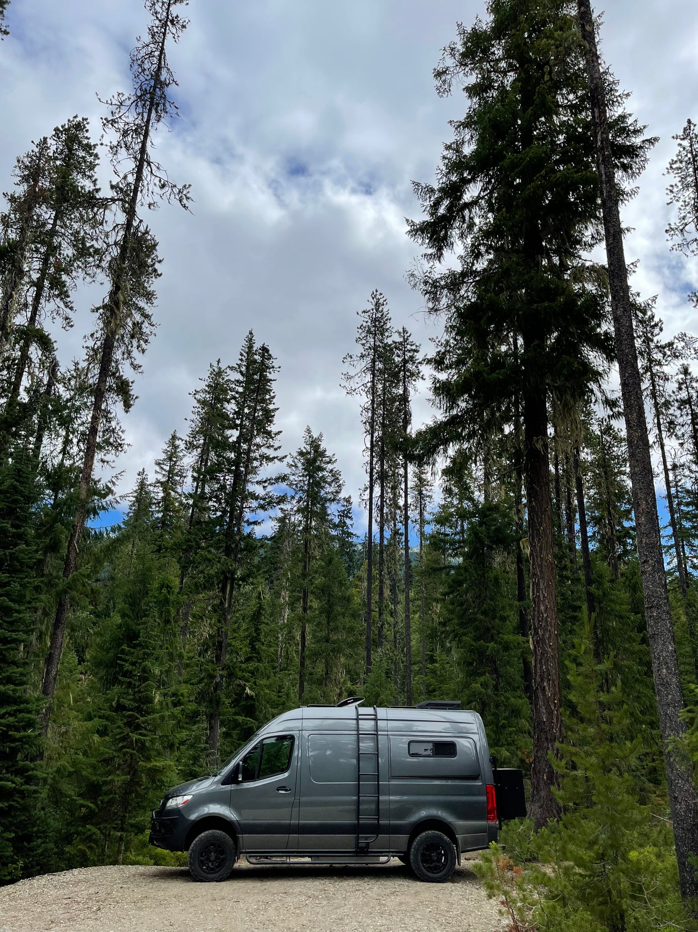 A gray camper van, perfect for RV rental adventures, parked on a forest road among tall, mossy trees under a cloudy sky.