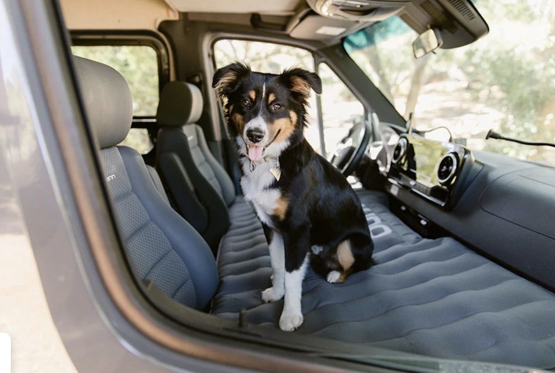 A happy dog (Border Collie mix) relaxes on an inflatable bed in a spacious RV rental. Pet-friendly comfort for van adventures.