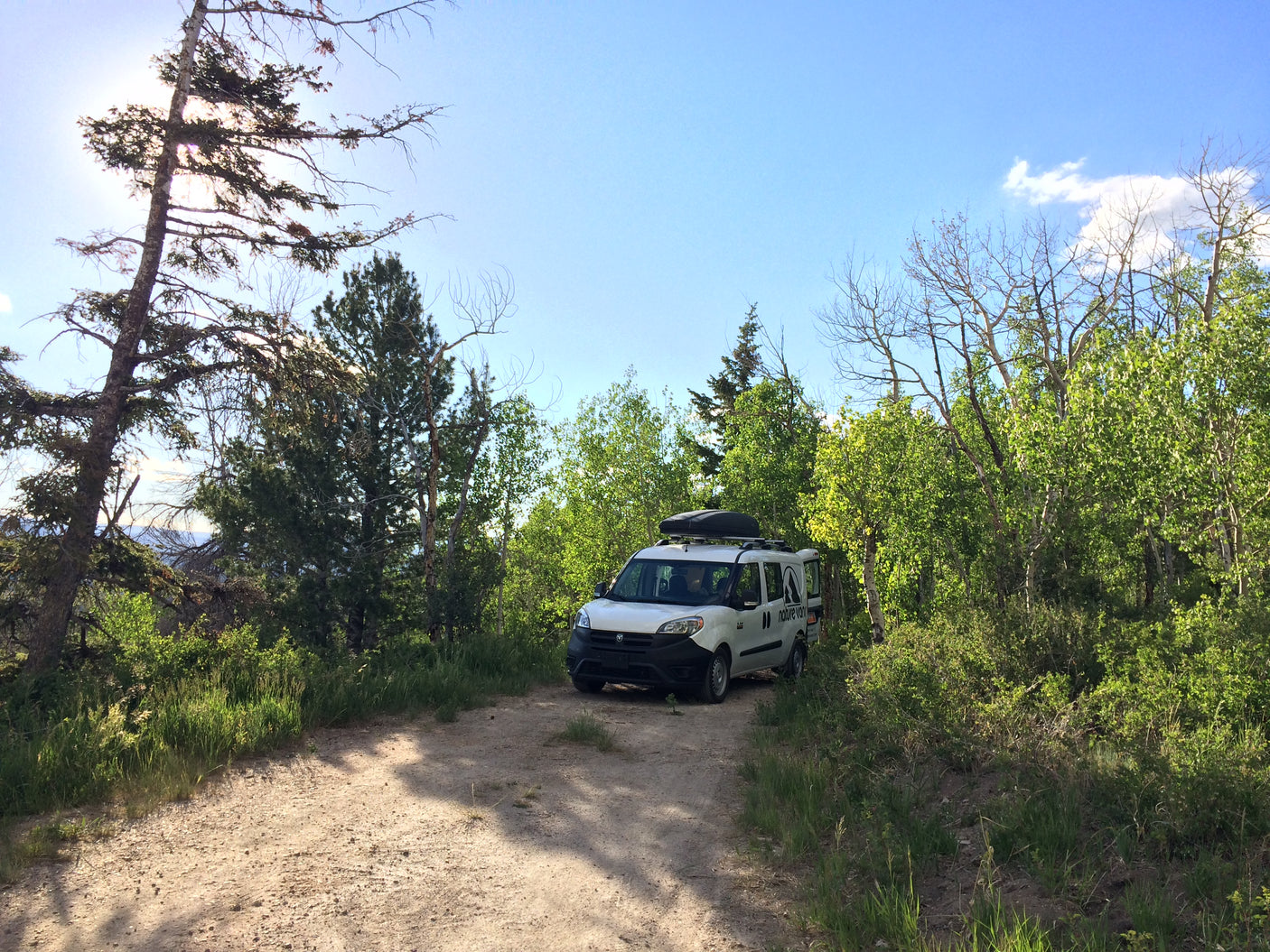 RV rental camper van parked on a dirt forest road, surrounded by green trees under a sunny sky.