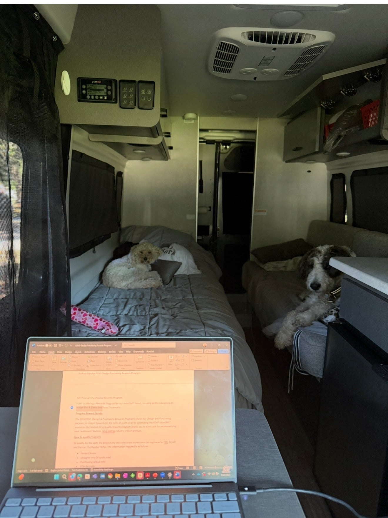 Remote work in a cozy RV rental. Two dogs relax on beds as someone works on a laptop showing a design program.