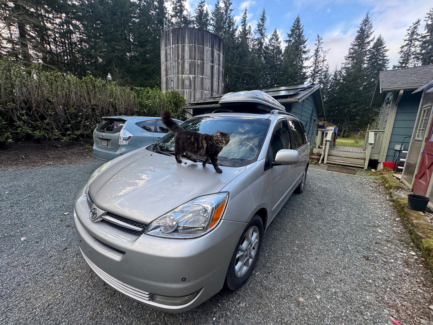 A curious tabby cat walks on a silver minivan with a roof box, parked on gravel. A versatile vehicle for travel, like an rv rental.