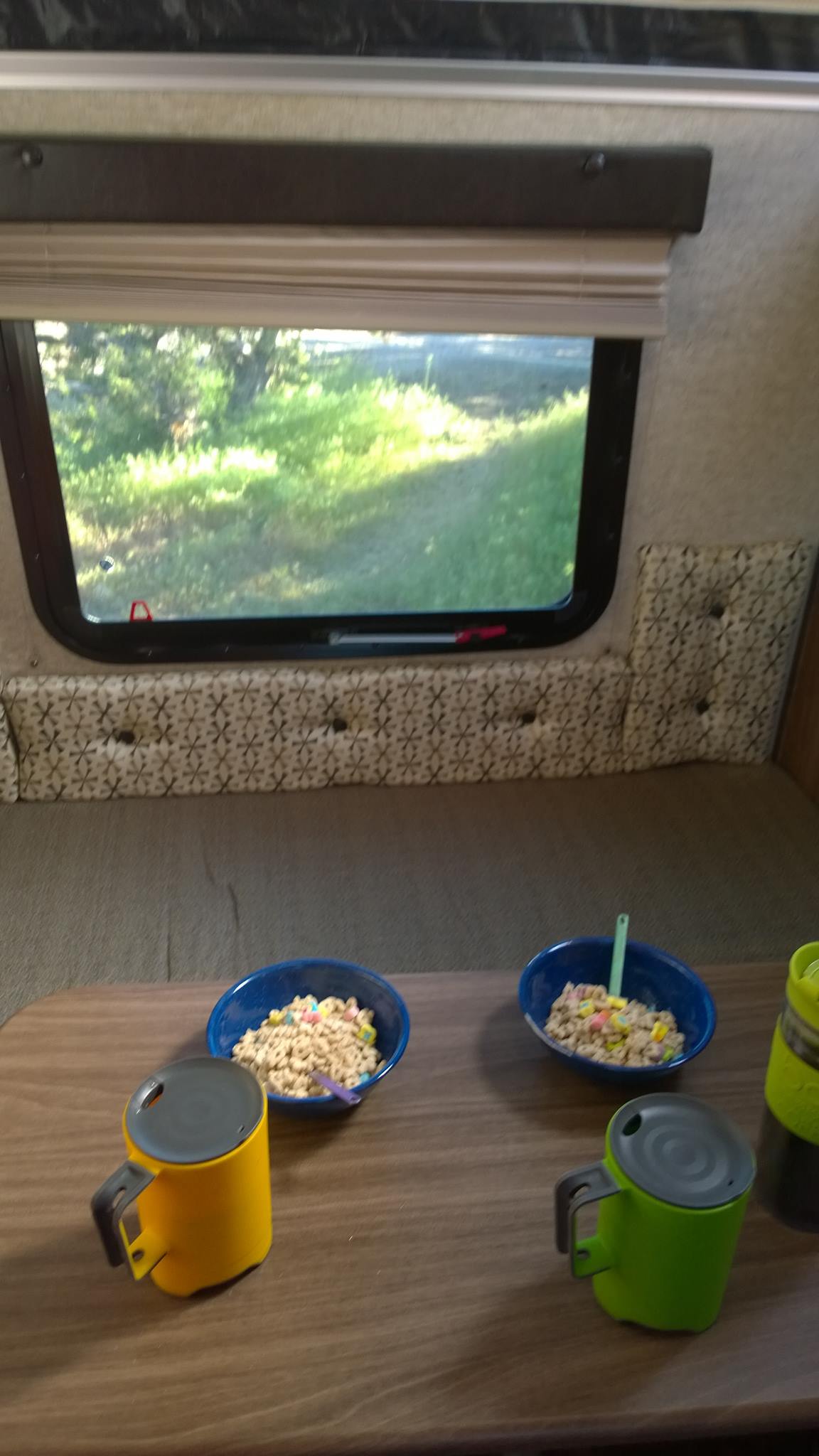 and window view of grassy outdoors.|White pickup with Palomino truck camper