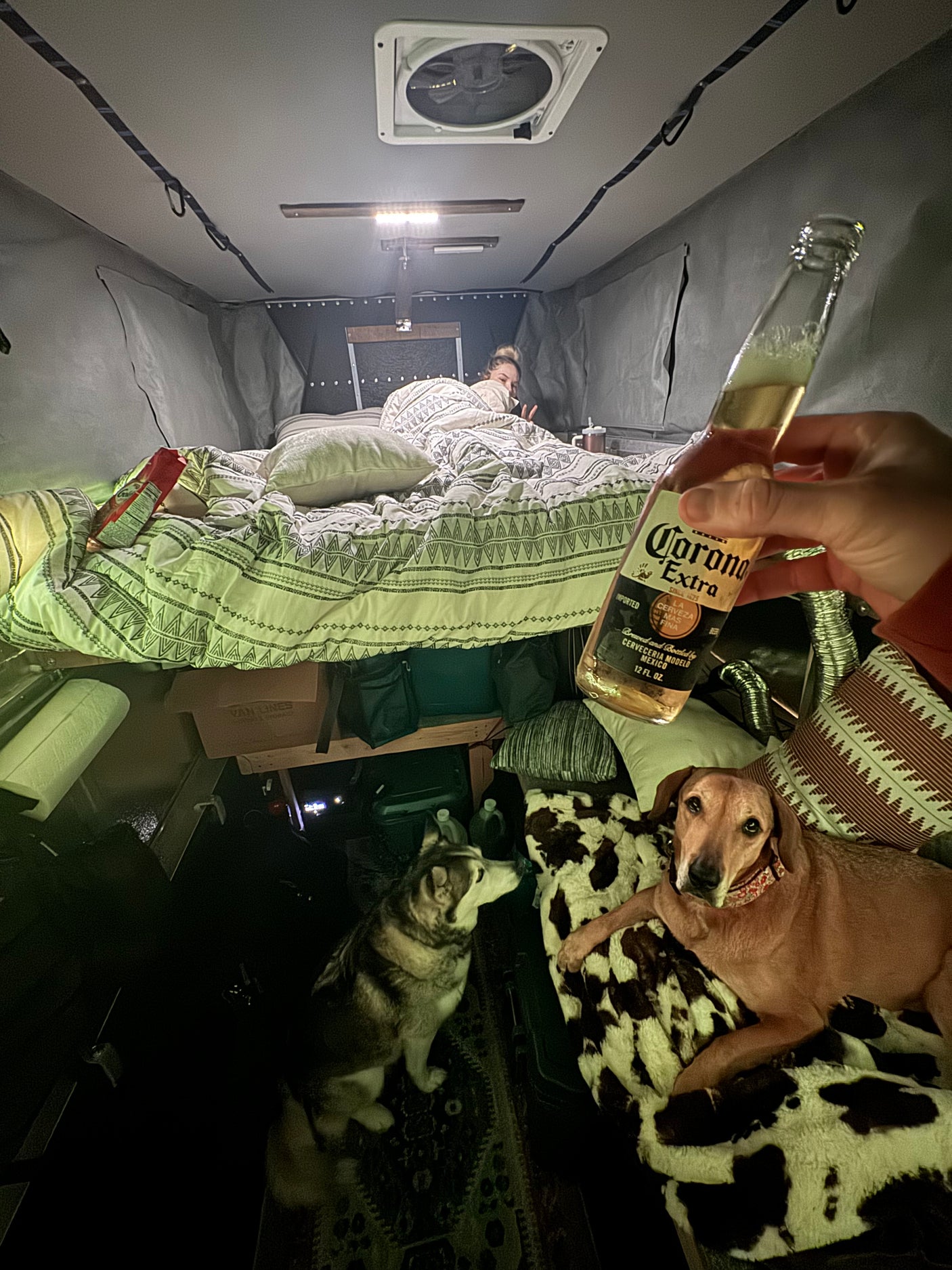 Relaxing inside an RV rental: person in bed, two dogs on the floor, and a hand holding a cold Corona.